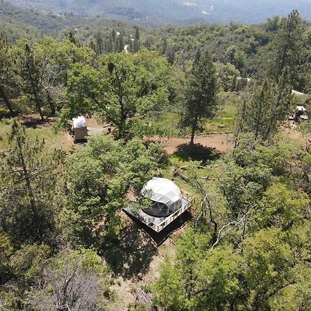Enchanted Forest Dome ,10-15 Minutes To Kings Canyons-New Pellet Stove For Cozy Warm Nights Dunlap Exterior photo